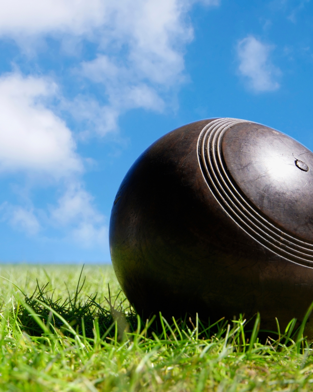 Featured image for “Discover the Joy of Bowls at Club Lake Cathie”