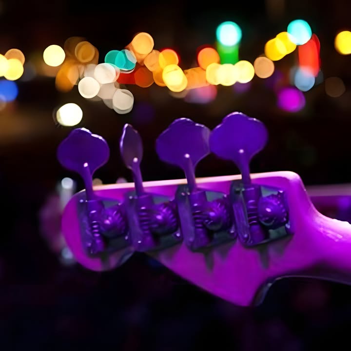 Featured image for “Friday Night Live Music: Free Tunes at Club Lake Cathie”