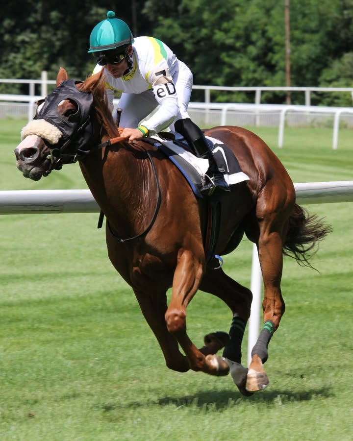 Featured image for “Melbourne Cup Luncheon: Indulge in Spring Racing Excitement at Club Lake Cathie”