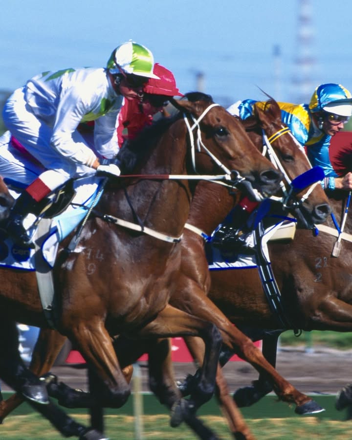Featured image for “Melbourne Cup Luncheon Extravaganza at Club Lake Cathie”
